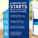 leaky-gut-repair-gut-health-support-powd-4.jpg