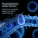 nutricology-phosphatidyl-choline-supplem-4.jpg