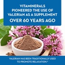 vitaminerals-33-baldrian-plus-natural-re-3.jpg