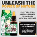 pon-lee-brazil-green-bee-propolis-liquid-3.jpg