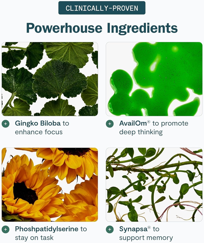 thesis-logic---nootropic-brain-support-s-6.jpg