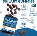 shilajit-gummies-sugar-free-shilajit-gum-5.jpg