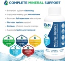 beam-minerals-travel-pack-electrolyte-mi-3.jpg