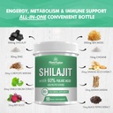 shilajit-capsules-1000mg-himalayan-shila-2.jpg