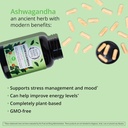 happy-healthy-hippie-organic-ashwagandha-6.jpg