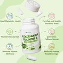 akkermansia-muciniphila-probiotic-for-gu-3.jpg