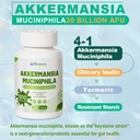 akkermansia-muciniphila-probiotic-for-gu-4.jpg