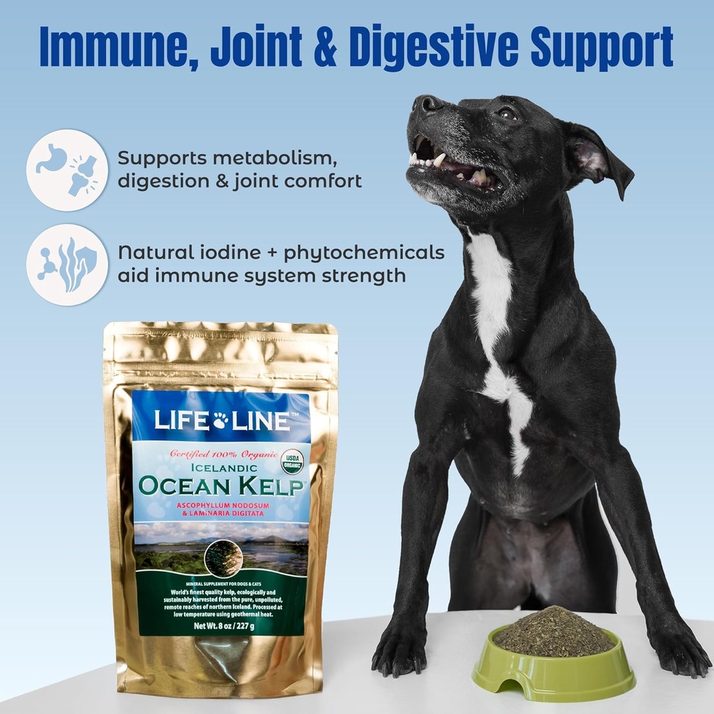 life-line-organic-ocean-kelp-powder-for--4.jpg