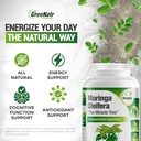 greenatr-pure-moringa-oleifera-leaf-extr-4.jpg