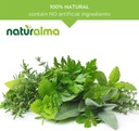 naturalma-alfalfa-or-lucerne-medicago-sa-4.jpg