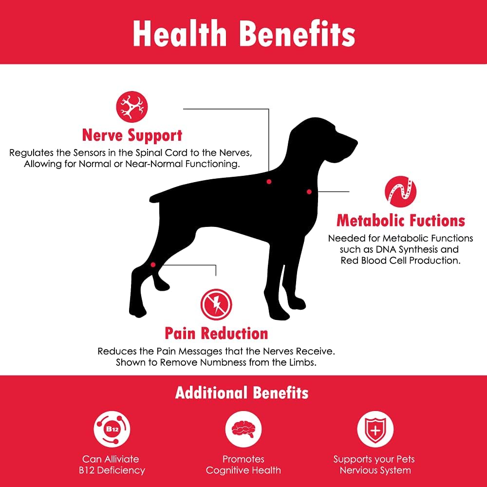 cobalavet-vitamin-b12-b9-for-small-dogs--5.jpg