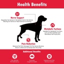 cobalavet-vitamin-b12-b9-for-small-dogs--5.jpg