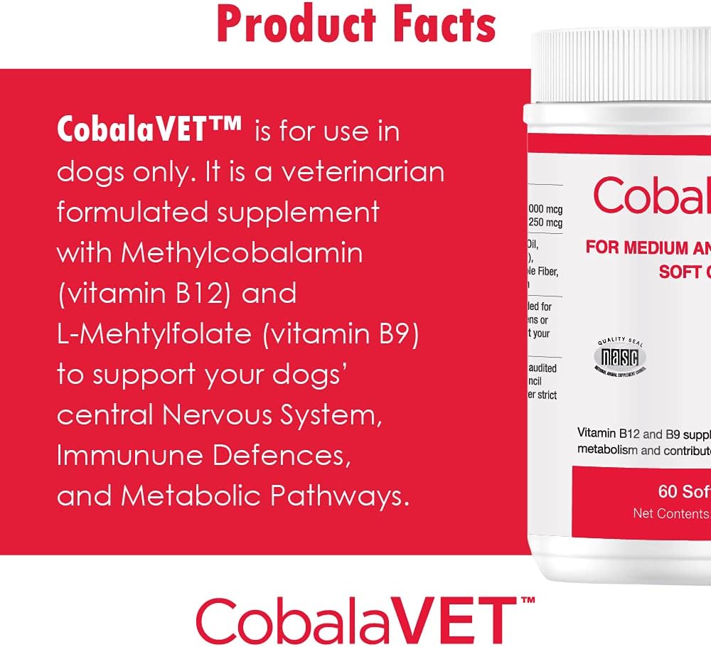 cobalavet-vitamin-b12-b9-for-small-dogs--6.jpg