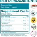 bold-botanica-ashwagandha-plus-stress-mo-3.jpg