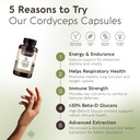 organic-cordyceps-mushroom-capsules-supp-2.jpg