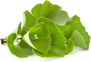pure-original-ingredients-ginkgo-biloba--4.jpg
