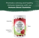 swanson-immune-boost-gummies-with-acerol-2.jpg