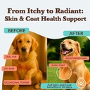 natural-dog-company-skin-coat-supplement-2.jpg