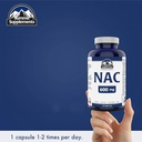 summit-supplements---nac-supplement-600m-4.jpg