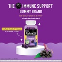 airborne-elderberry-zinc-vitamin-c-gummi-2.jpg