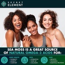 sea-moss-capsules---irish-sea-moss-advan-5.jpg