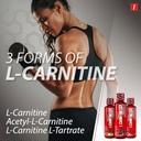 isatori-l-carnitine-ls3-3000-triple-blen-3.jpg