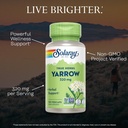 solaray-true-herbs-yarrow-320mg-whole-ae-3.jpg