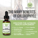 benevolent-chlorophyll-liquid-drops-wome-2.jpg