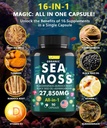 sea-moss-capsules-with-black-seed-oil-as-3.jpg