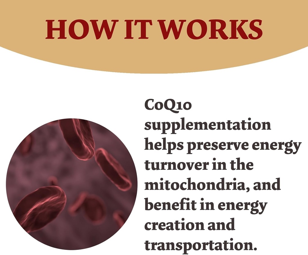 coq10-300mg---120-capsules---high-absorp-4.jpg