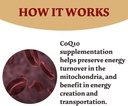 coq10-300mg---120-capsules---high-absorp-4.jpg