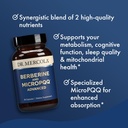 dr-mercola-berberine-and-mircopqq-advanc-5.jpg