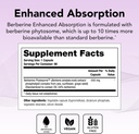 theralogix-berberine-enhanced-absorption-2.jpg