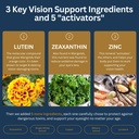 zenith-labs-vision-20-eye-vitamins---lut-6.jpg