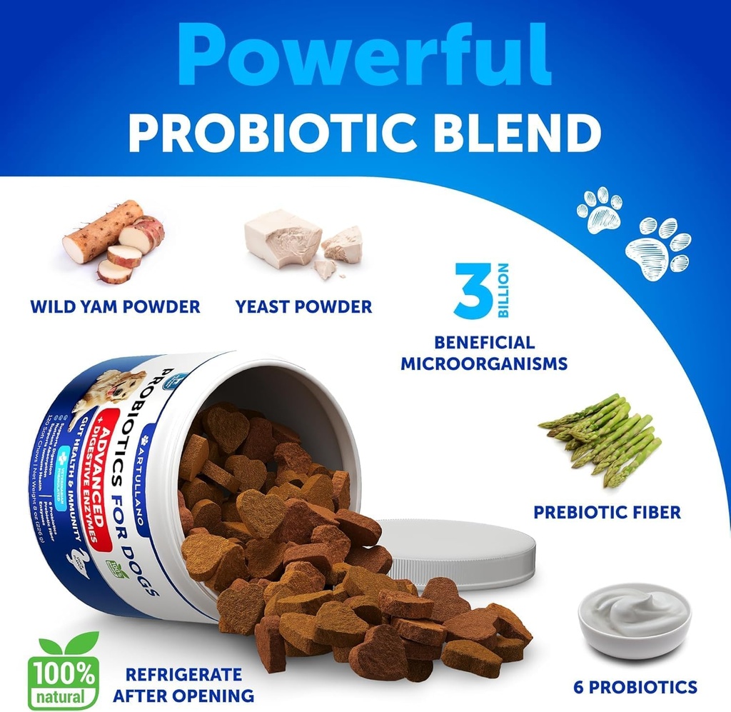 probiotics-for-dogs---support-gut-health-3.jpg