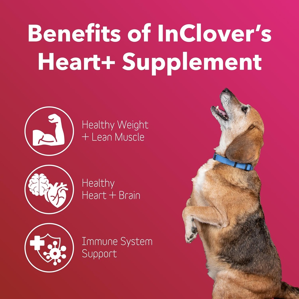 inclover-heart-dog-and-cat-cardiac-healt-2.jpg