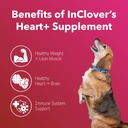 inclover-heart-dog-and-cat-cardiac-healt-2.jpg