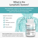 organixx-lymphatic-colon-cleanse-supplem-4.jpg
