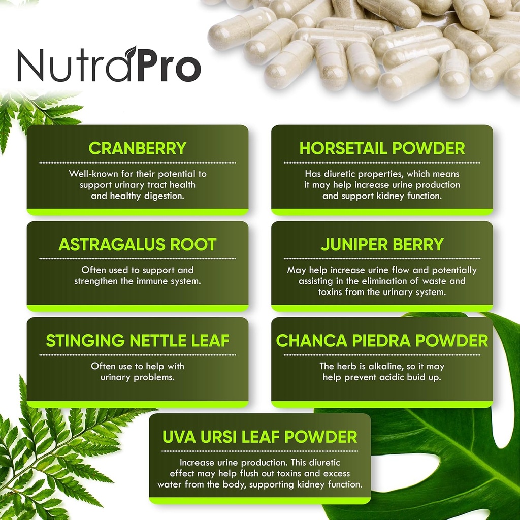 nutrapro-kidney-cleanse-detox-repair-and-4.jpg