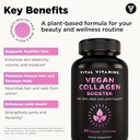 vital-vitamins-vegan-collagen-booster----3.jpg
