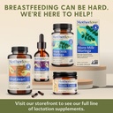 motherlove-more-milk-moringa-60-liquid-c-5.jpg