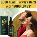 betterlungs-mullein-leaf-extract-and-eld-6.jpg