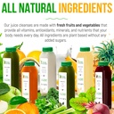 3-day-juice-cleanse-by-raw-fountain-all--5.jpg