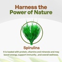 go-nutra-spirulina-powder-organic-pure-n-3.jpg