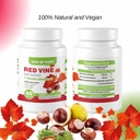 dash-of-vigor-red-vine-leaf-extract-viti-4.jpg