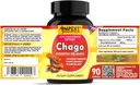 chaga-premium-quality-fruiting-bodies-ex-5.jpg