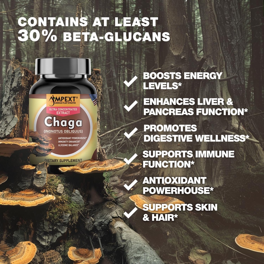 chaga-premium-quality-fruiting-bodies-ex-6.jpg