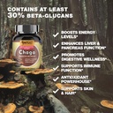 chaga-premium-quality-fruiting-bodies-ex-6.jpg