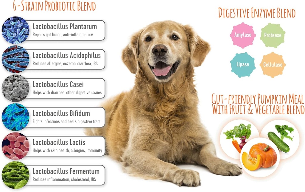 extend-probiotics-for-dogs---digestive-h-2.jpg