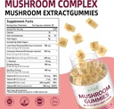 mushroom-gummies-sugar-free-adaptogenic--3.jpg